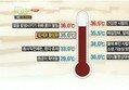 게시글이미지