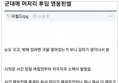 게시글이미지